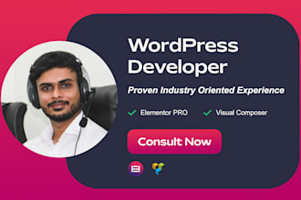 design and develop premium wordpress website elementor pro