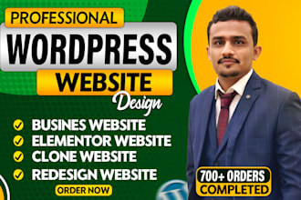 build professional wordpress website design ecommerce website for your business
