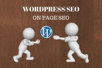 seo optimize your wordpress website