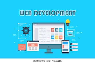 develop customized web application