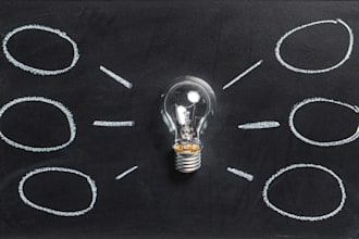 carry out a detailed feasibility study or options appraisal