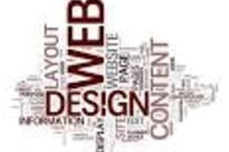 do professional web development