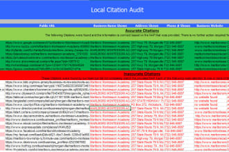 do local citations audit,website audit and competitor analysis
