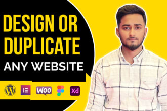 design or duplicate or build a wordpress website