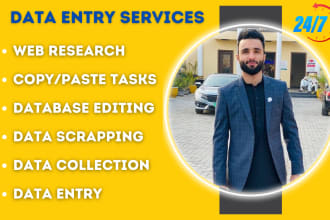 do data entry excel, word, database editing