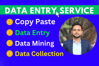 do data entry, copy paste, data mining, data collection, and web research