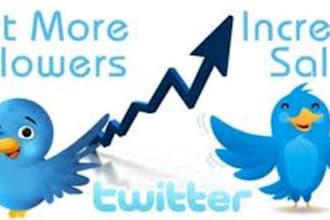 provide You 26,500+ real followers they will Never unfollow You Within 8 hours