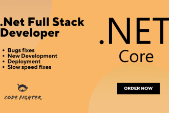 develop or fix bugs in your asp net mvc asp net core