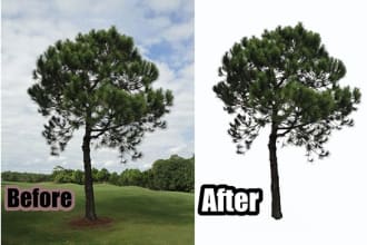 remove or change background of any difficult and unclean image professionally