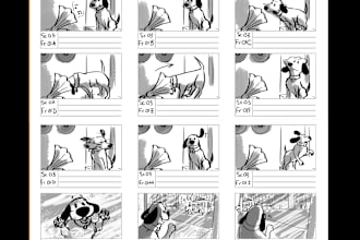 draw storyboards from scripts and ideas