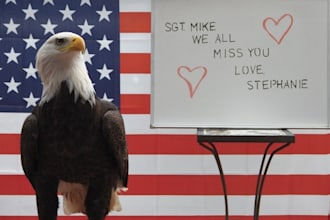take a picture of my bald eagle, Eddie, with your message