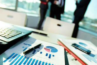 provide financial accounting and consultancy services