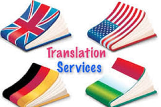 provide a top quality and manual italian to english translation