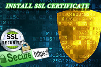 在你的wordpress网站上安装SSL证书