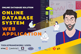create a professional online web application database system