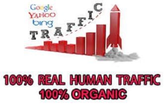 drive unique 10 000 real target USA visitors every day for 1 month