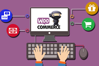 develop a professional wordpress site