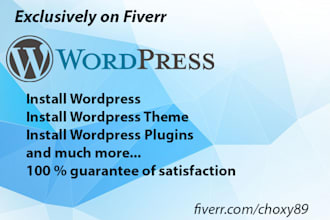 provide wordpress install and wordpress theme install