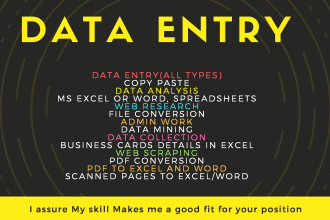 do 100 data entry, transcribe PDF to excel  word, data mining