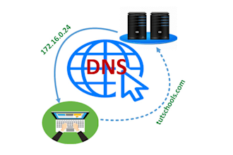setup and configure dns server for your website or network