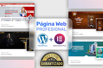 make professional website includes graphic design pagina web
