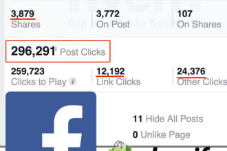 manage and optimize your facebook ads for conversion