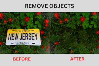 remove objects, edit text or clean up your images professionally