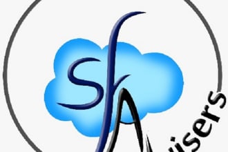 do standard or custom development in salesforce