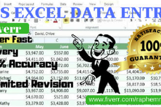 do excel data entry