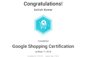 provide you expert google shopping ads ecommerce service