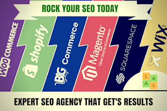 do onpage SEO for shopify, wix, squarespace, weebly and wordpress