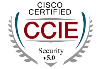 help you setup vpns and secure your network environment