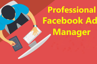 create facebook ads for ecommerce store