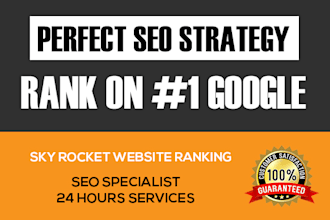 do  SEO of your site for 1st page ranking on google