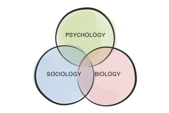 offer guidance in sociology psychology and philosophy