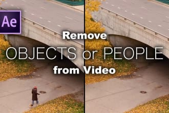 remove or replace text, logo or any unwanted object from video