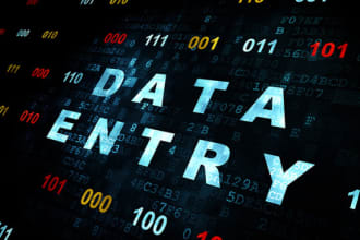 excel data entry analysis web research data mining virtual assistant collection