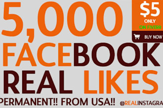 give you 5000 PERMANENT Facebook likes and fans on your facebook fanpage within 12 hours worldwide fans