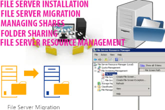 provide expert services for windows file servers