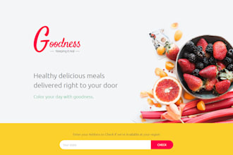 create best wordpress landing page in 4hours