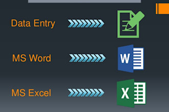 do ms excel and ms word data entry within 24hours
