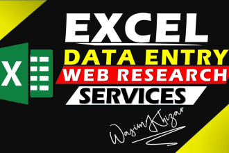 do fast excel data entry and web research