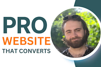 design and build a professional wordpress website