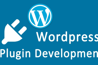 develop custom wordpress plugin