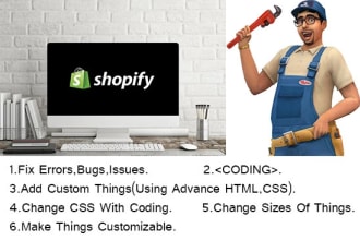 fix bugs or any issues in shopify