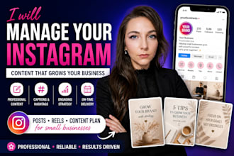 manage your instagram for your business