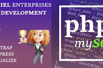 develop and design a complete website with SEO