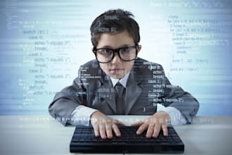 be web programmer php, wordpress, opencart developer
