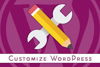 quickly customize wordpress website