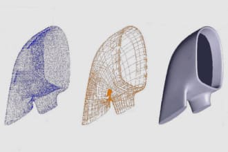 do reverse engineering,  mechanic or organic projects